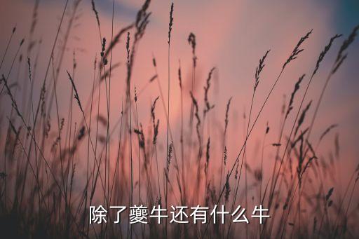 有什么牛啊牛什么牛啊，牛都有什么品种