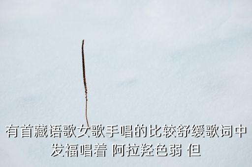 拉浪山情藏语是什么歌，有首藏语歌女歌手唱的比较舒缓歌词中发福唱着 阿拉羟色弱 但