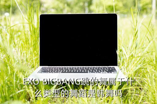 EXO BIGBANG跳的舞属于什么类型的舞蹈是韩舞吗