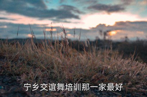 宁乡交谊舞培训那一家最好