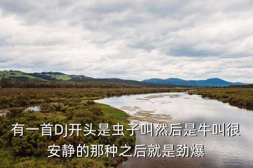 有一首DJ开头是虫子叫然后是牛叫很安静的那种之后就是劲爆