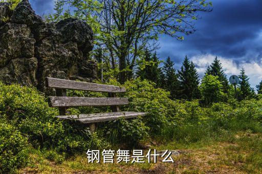 钢管舞竞技是什么，钢管舞是什么