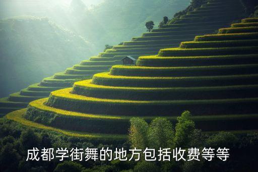 成都学街舞的地方包括收费等等