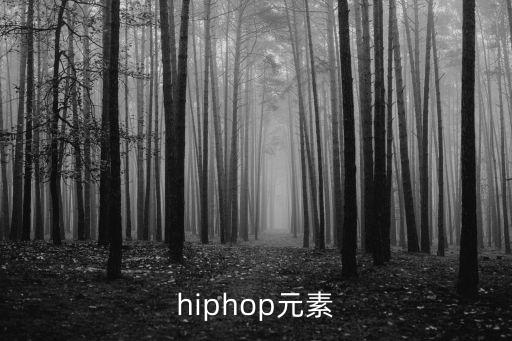 hiphop元素