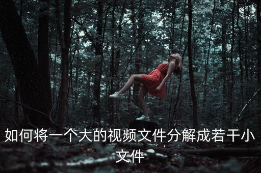 如何将一个大的视频文件分解成若干小文件