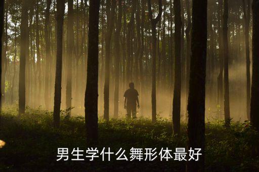 男孩学什么舞蹈练体型，男生能训练芭蕾舞蹈形体训练吗