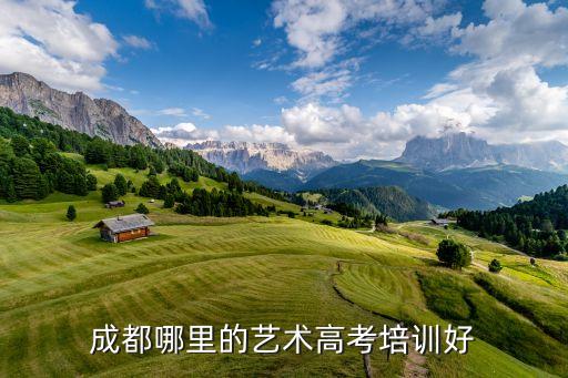 成都舞来舞往艺术学校，成都艺术培训学校哪个比较好