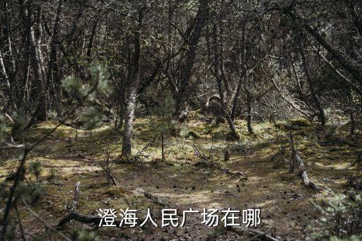 澄海人民广场在哪