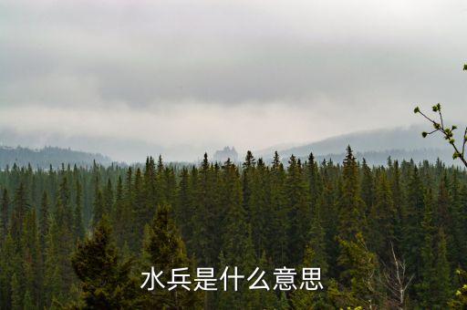 水兵是什么意思