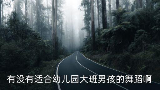 有没有适合幼儿园大班男孩的舞蹈啊