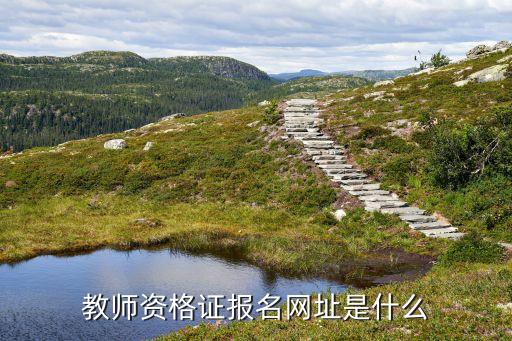 教师资格证报名网址是什么