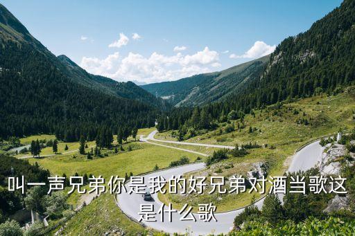叫一声兄弟你是我的好兄弟对酒当歌这是什么歌