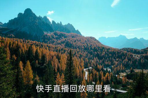 快手直播回放哪里看