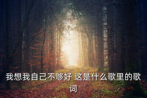 糖豆广场舞16步想你想不够，我想我自己不够好 这是什么歌里的歌词