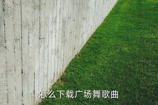糖豆广场舞 怎么下MP3，怎样从糖豆网下载广场舞视频