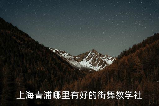 青浦舞蹈培训班哪里好一点，上海青浦哪里有好的街舞教学社