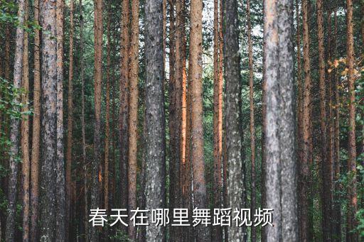春天在哪里舞蹈视频