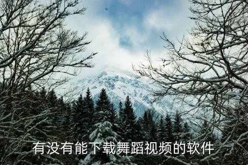 什么软件可以下载舞蹈，有没有能下载舞蹈视频的软件