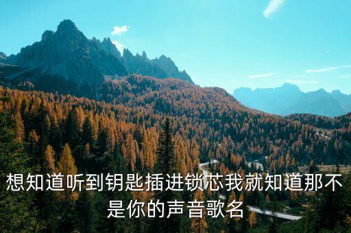 春风里你潇洒又帅气是什么歌，想知道听到钥匙插进锁芯我就知道那不是你的声音歌名