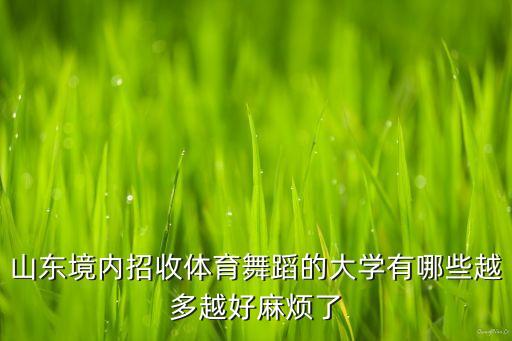 山东境内招收体育舞蹈的大学有哪些越多越好麻烦了