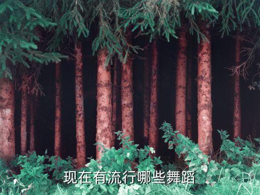 最近有什么好看的舞蹈，现在有流行哪些舞蹈