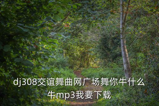 dj308交谊舞曲网广场舞你牛什么牛mp3我要下载
