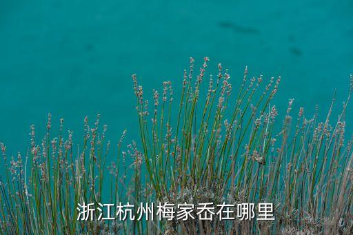 浙江的梅千秋在哪里，浙江的鵞池具体在哪里