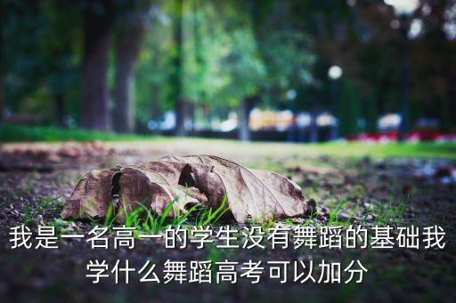 什么舞蹈特长加分，爵士舞和拉丁舞哪个考大学加分