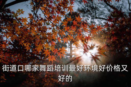 武汉锐力舞蹈怎么样，武昌哪里的拉丁舞教的好