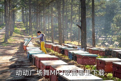 动动广场舞MP3歌曲哪里下载