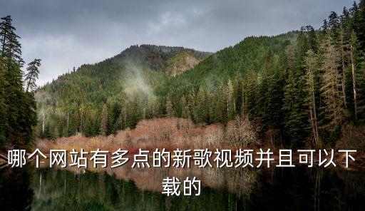 哪个网站有多点的新歌视频并且可以下载的