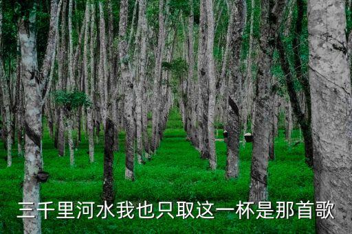 那是蝴蝶翩翩飞什么歌，蝴蝶翩翩飞这是什么歌