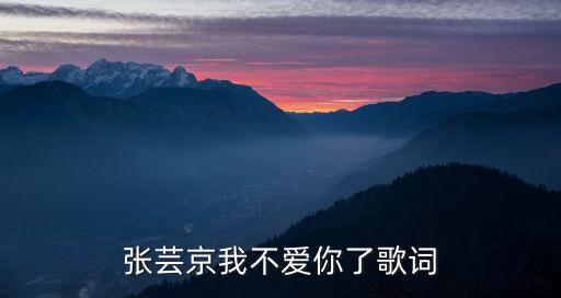 张芸京我不爱你了歌词