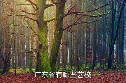 广东省有哪些艺校