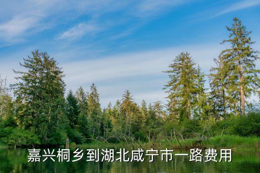 日咸宁时舞的dj多少钱，湖北咸宁的MP3的一般的多少钱