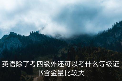 什么考级证书有用，计算机的等级证书哪个最有用