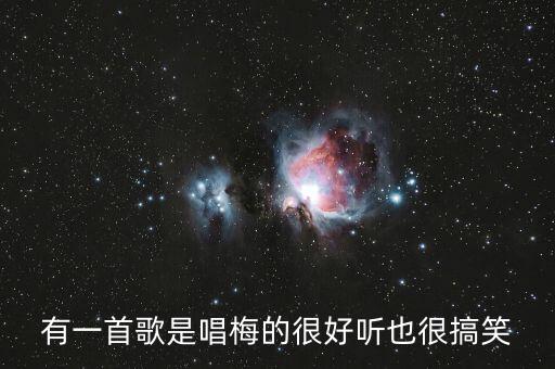 有一首歌是唱梅的很好听也很搞笑