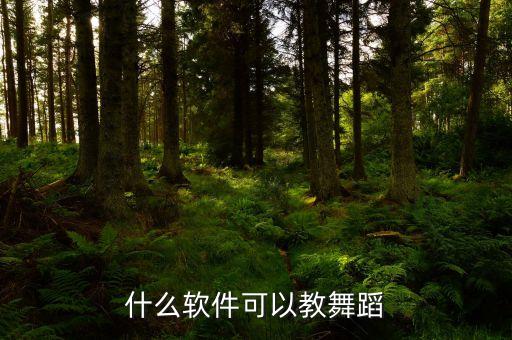 什么软件可以教舞蹈
