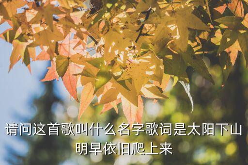 太阳下山明早依旧爬上来是什么歌，请问太阳下去明早依旧爬上来花儿谢了明年还是一样的开这是
