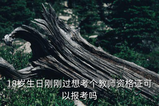 18岁生日刚刚过想考个教师资格证可以报考吗