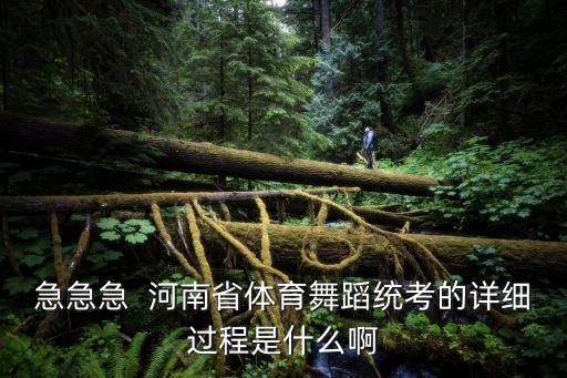 体育舞蹈考试考什么，体育大学体育舞蹈系要考什麽