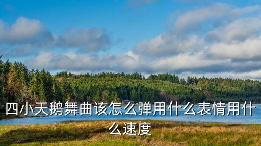 四小天鹅舞曲该怎么弹用什么表情用什么速度