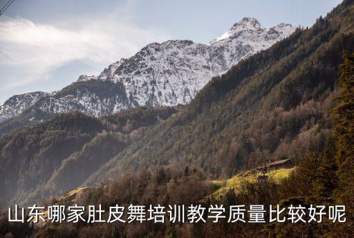 山东哪家肚皮舞培训教学质量比较好呢