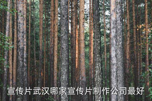 武汉拾光影视传媒有限公司，武汉有哪些好的影视制作公司