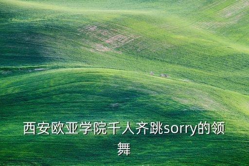 千人舞蹈视频播放，西安欧亚学院千人齐跳sorry的领舞