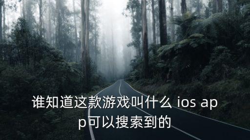 谁知道这款游戏叫什么 ios app可以搜索到的