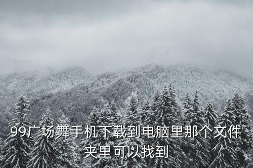 99广场舞手机下载到电脑里那个文件夹里可以找到