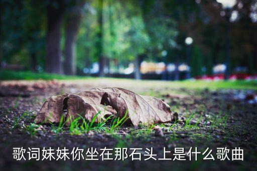 歌词妹妹你坐在那石头上是什么歌曲