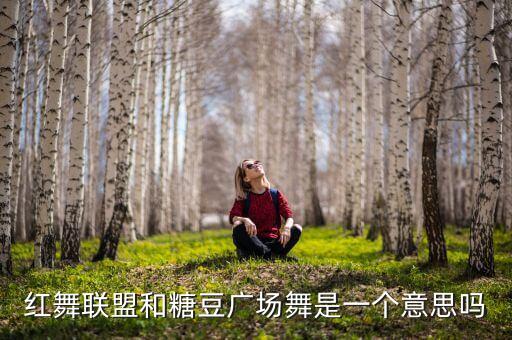 红舞联盟和糖豆广场舞是一个意思吗