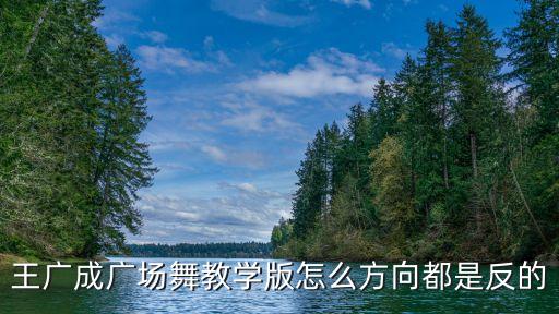 王广成广场舞教学版怎么方向都是反的